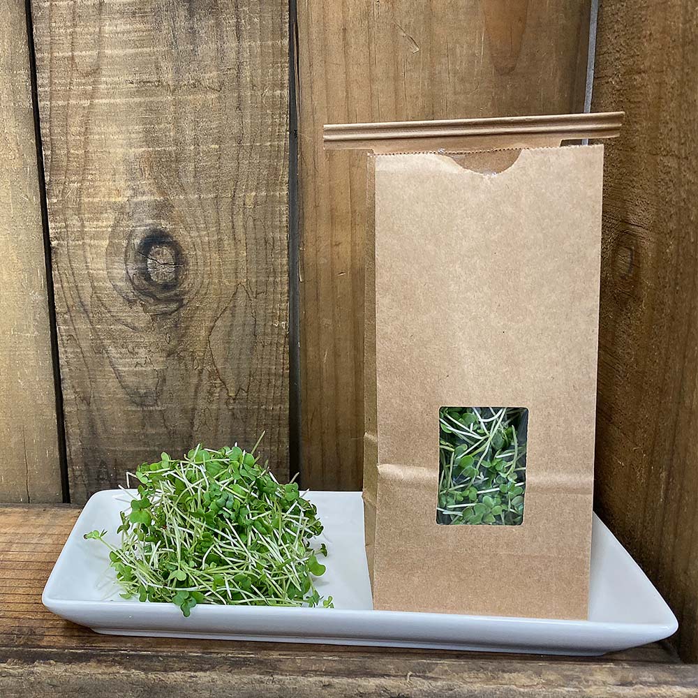 Arugula Microgreens